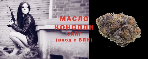 прущие грибы Гусь-Хрустальный
