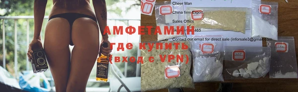 ПСИЛОЦИБИНОВЫЕ ГРИБЫ Гусев
