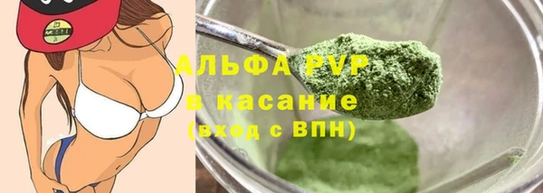 ПСИЛОЦИБИНОВЫЕ ГРИБЫ Гусев