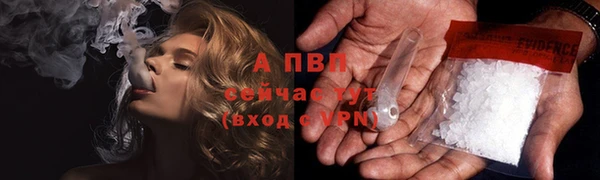 гидропоника Гусиноозёрск
