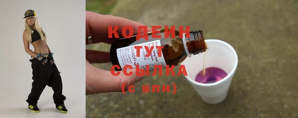 гидропоника Гусиноозёрск