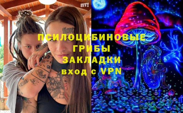 прущие грибы Гусь-Хрустальный