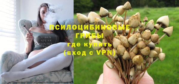 прущие грибы Гусь-Хрустальный