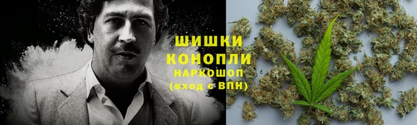 прущие грибы Гусь-Хрустальный