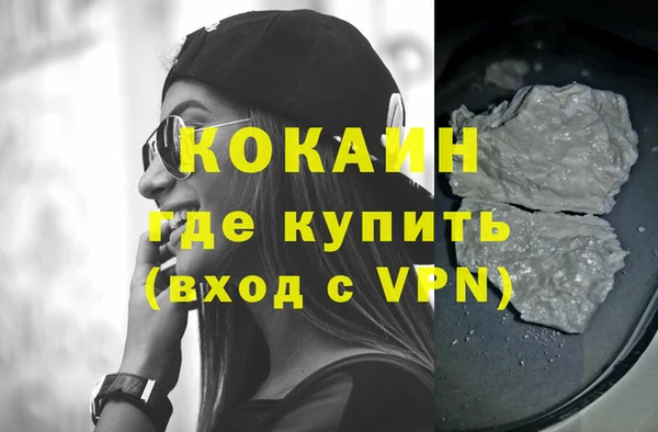 ПСИЛОЦИБИНОВЫЕ ГРИБЫ Гусев