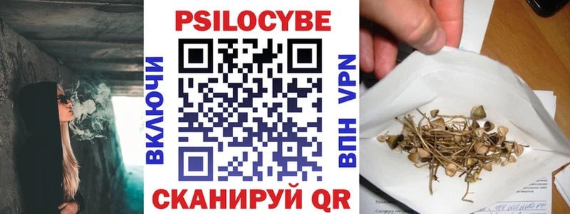 Галлюциногенные грибы Psilocybine cubensis Дивногорск